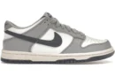 Nike Dunk Low Platinum Tint Light Carbon (GS)