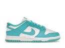 Nike Dunk Low Next Nature Dusty Cactus (Women's)