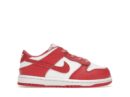 Nike Dunk Low White Gypsy Rose (TD)