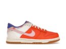 Nike Dunk Low SE Everything You Need (GS)