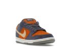 Nike SB Dunk Low Light Carbon Monarch