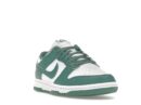 Nike Dunk Low Next Nature Bicoastal (Women's)