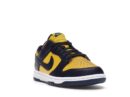 Nike Dunk Low Michigan (2021)