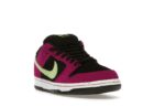 Nike SB Dunk Low Pro ACG Terra Red Plum