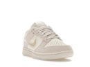 Nike Dunk Low Sail Iridescent Swoosh (Women's)