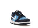Nike Dunk Low University Blue White (GS)