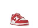 Nike Dunk Low White Gypsy Rose (TD)