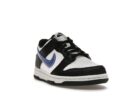 Nike Dunk Low Next Nature TPU Swoosh (GS)