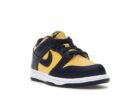 Nike Dunk Low Michigan (2021/2024) (PS)