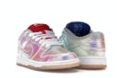 Nike SB Dunk Low Concepts Grail