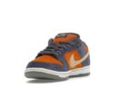 Nike SB Dunk Low Light Carbon Monarch