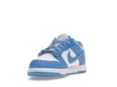 Nike Dunk Low UNC (PS)