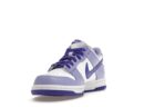 Nike Dunk Low Blueberry (GS)