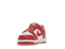 Nike Dunk Low White Gypsy Rose (TD)