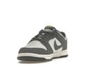 Nike Dunk Low Next Nature Iron Grey Lightning