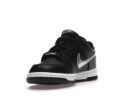 Nike Dunk Low NBA 75th Anniversary Spurs (GS)
