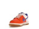 Nike Dunk Low SE Everything You Need (GS)