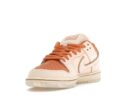 Nike SB Dunk Low Trocadéro Gardens