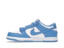 Nike Dunk Low UNC (PS)