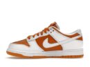 Nike Dunk Low QS CO.JP Reverse Curry (2024)