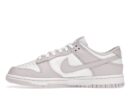 Nike Dunk Low Venice (Women's)