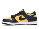 Nike Dunk Low Michigan (2021/2024) (PS)