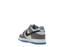 Nike Dunk Low Cool Grey Light Photo Blue (GS)