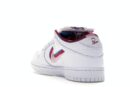 Nike SB Dunk Low Parra