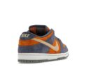 Nike SB Dunk Low Light Carbon Monarch