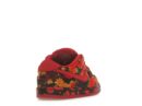 Nike SB Dunk Low The Wizard of Oz Poppy Field (TD)