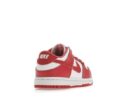 Nike Dunk Low White Gypsy Rose (TD)