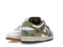 Nike SB Dunk Low & Converse CONS AS-1 Pro Alexis Sablone Chameleon Pack